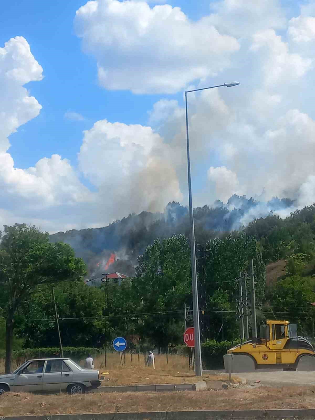 Bilecik’te çıkan otluk yangını kontrol altına alındı
