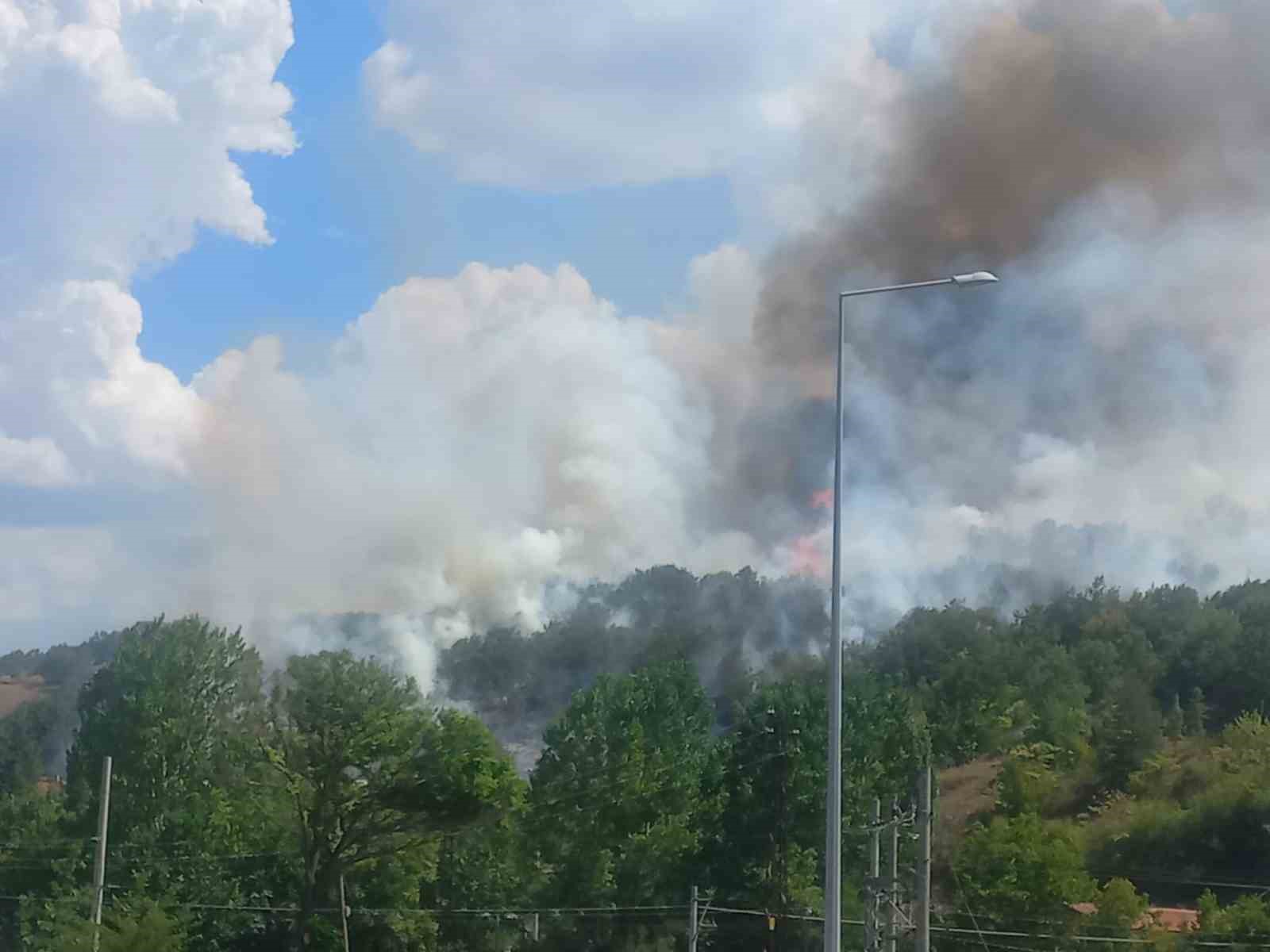 Bilecik’teki yangın bölgesinde soğutma çalışmaları sürüyor
