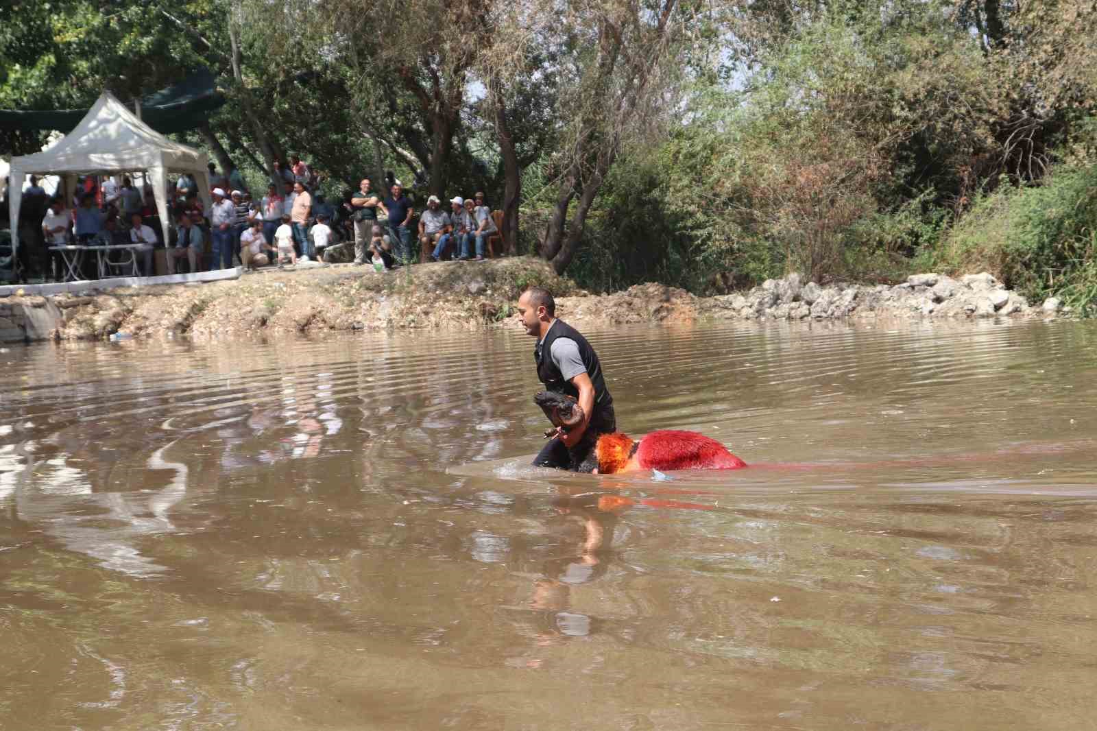 8 asırlık Sudan Koyun Geçirme Yarışları renkli görüntülere sahne oldu
