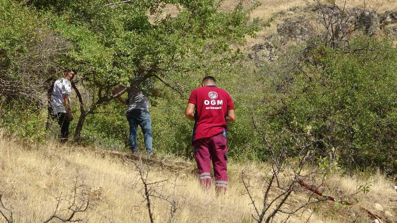 Isparta’daki orman yangını havadan ve karadan müdahaleyle söndürüldü
