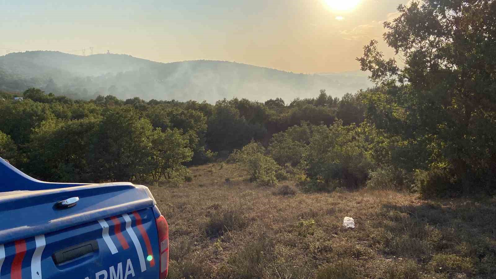 Gebze’de ormanlık alanda yangın çıktı
