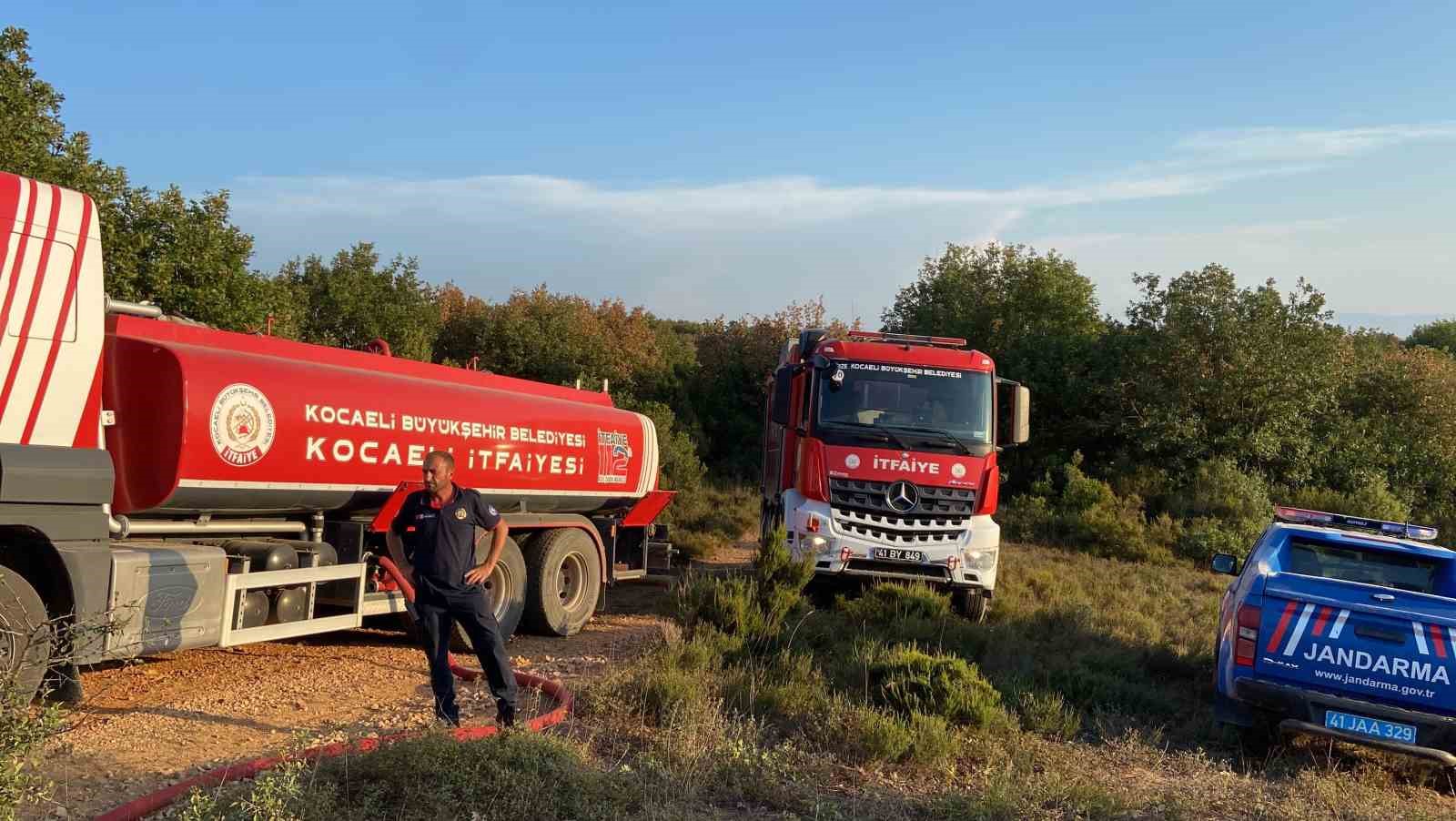 Gebze’de ormanlık alanda yangın çıktı
