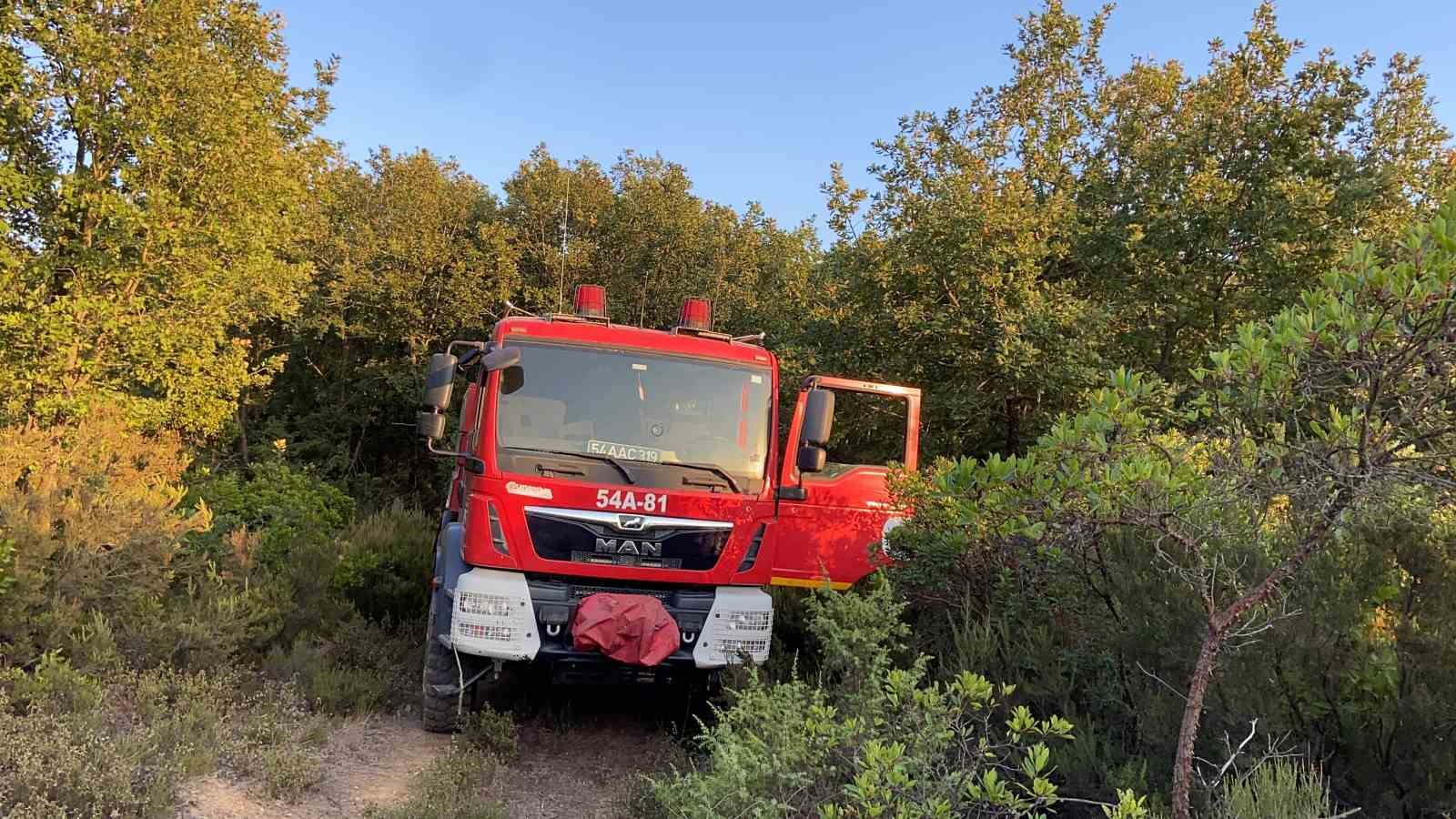 Gebze’de ormanlık alanda yangın çıktı
