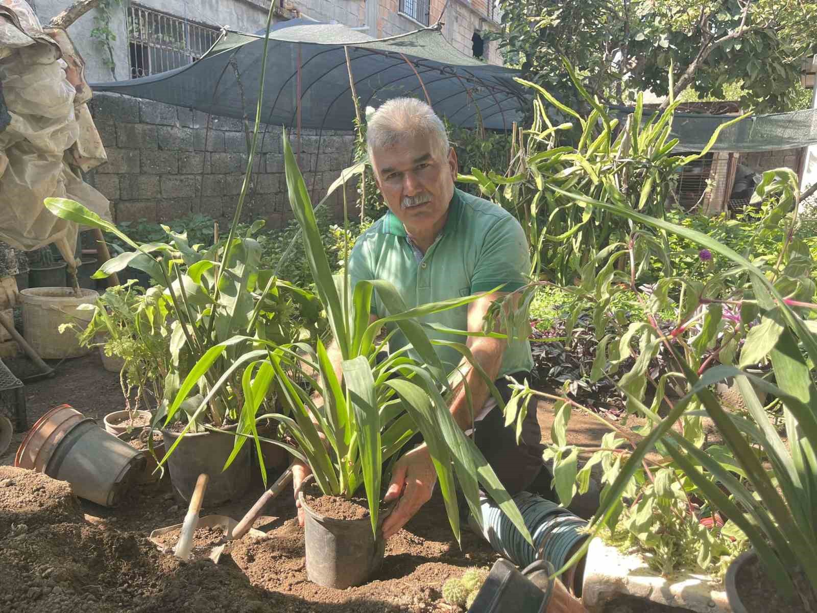 Hobi olarak yetiştirdiği çiçekleri, seyyar tablasında satıyor
