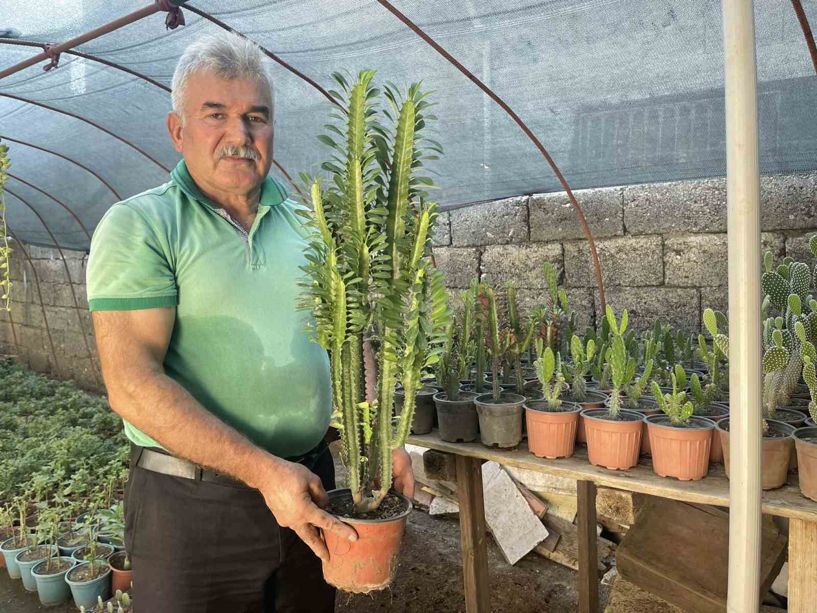 Hobi olarak yetiştirdiği çiçekleri, seyyar tablasında satıyor
