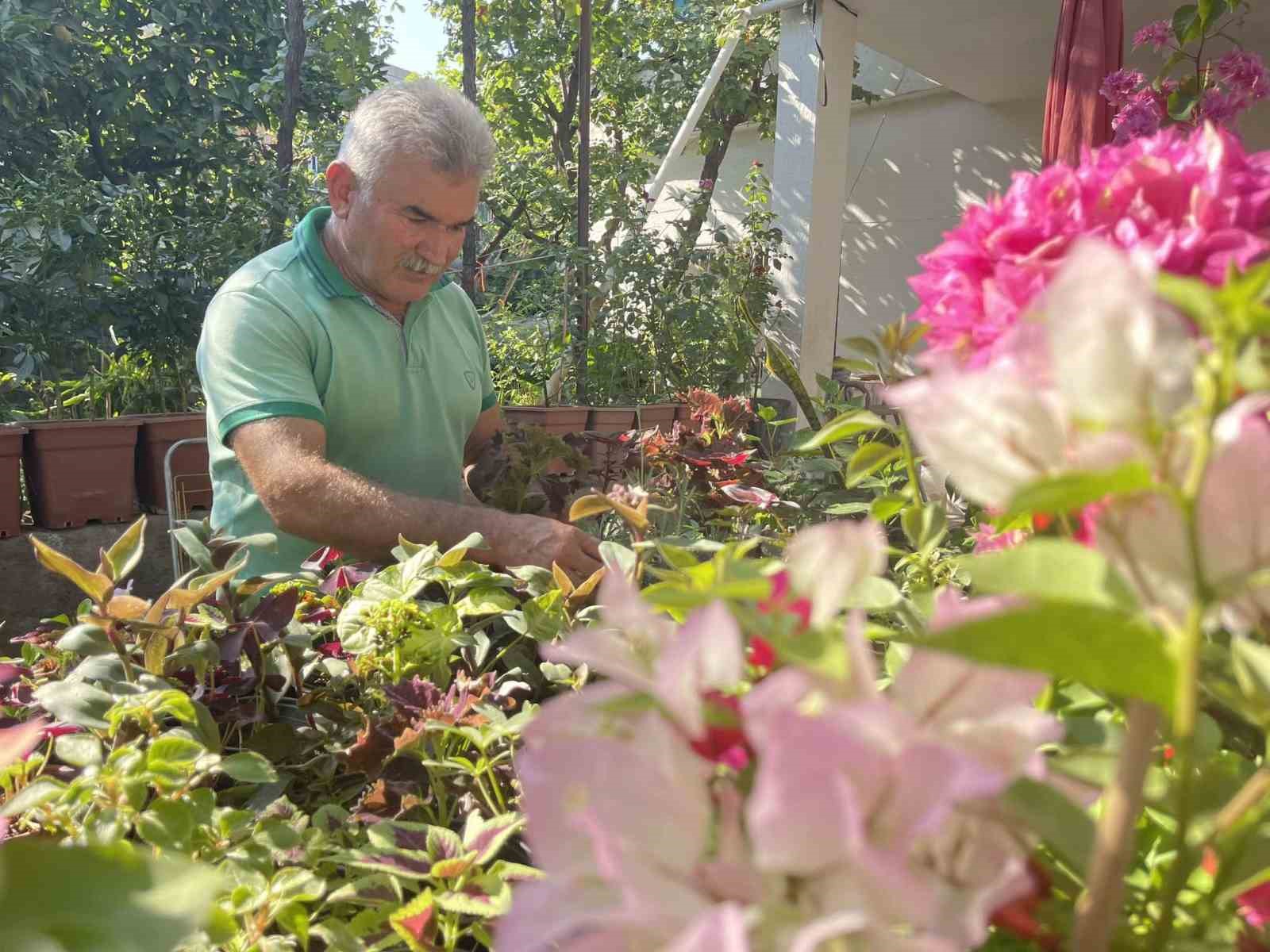 Hobi olarak yetiştirdiği çiçekleri, seyyar tablasında satıyor
