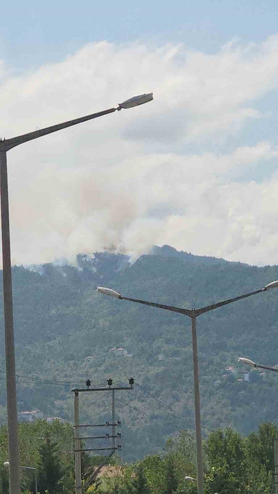 Zonguldak’ta orman yangını
