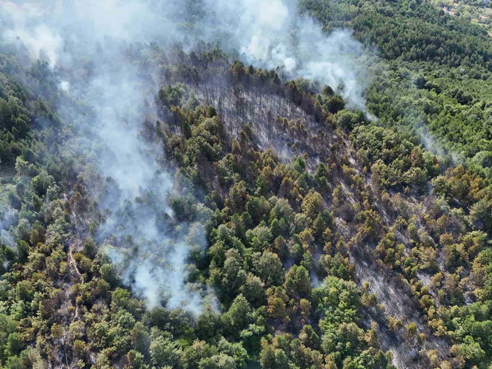 Zonguldak’taki orman yangınında 22 dönüm arazi zarar gördü
