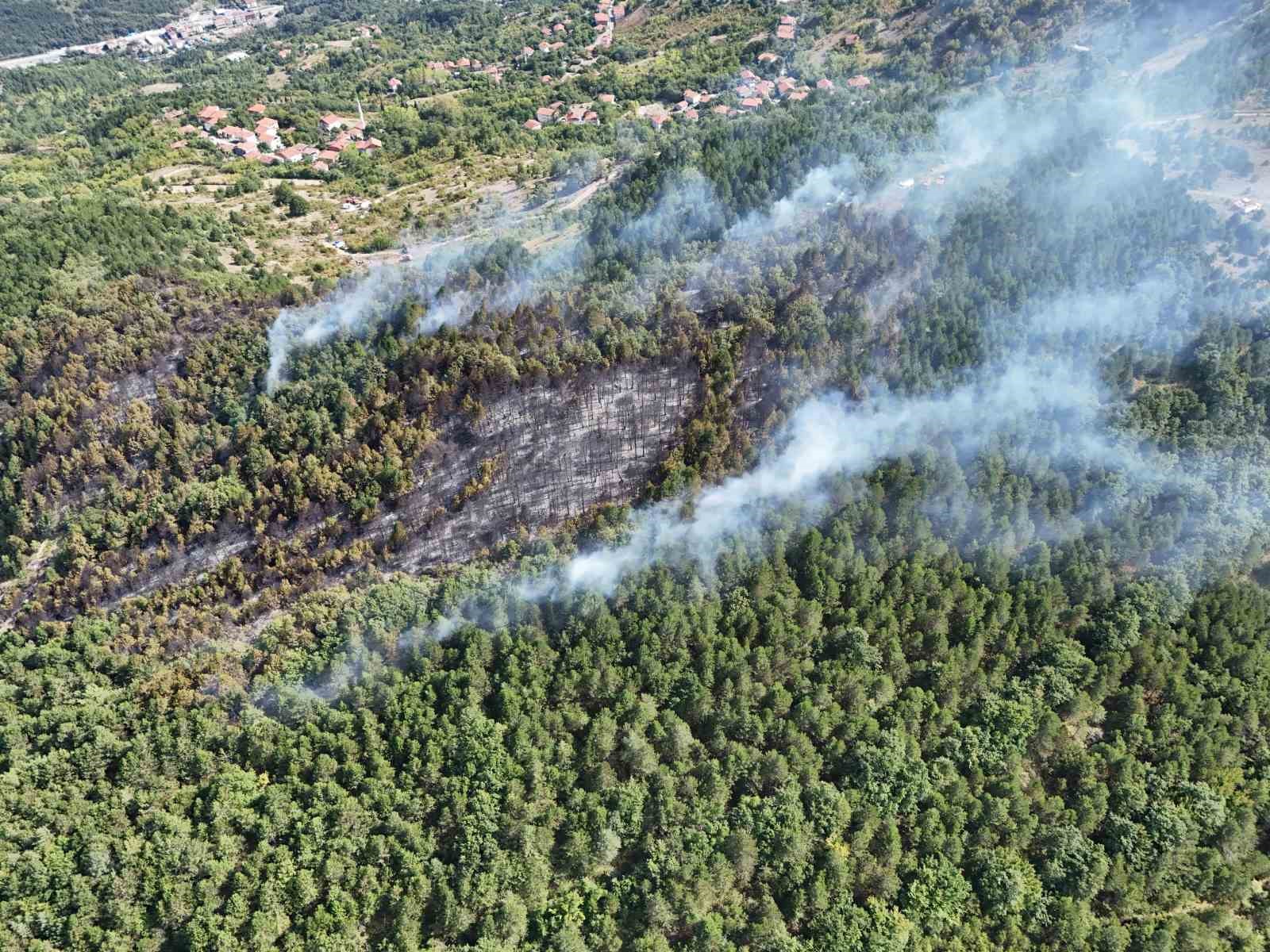 Zonguldak’taki orman yangınında 22 dönüm arazi zarar gördü
