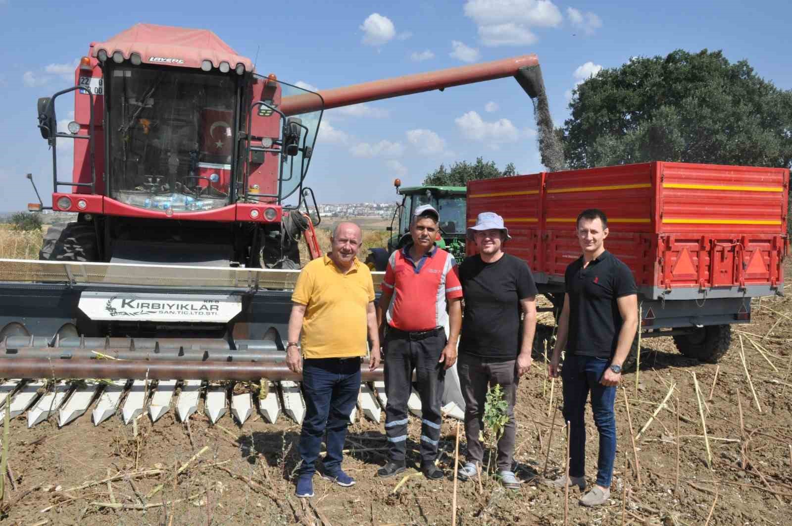 Keşan’da ayçiçeği hasadı başladı
