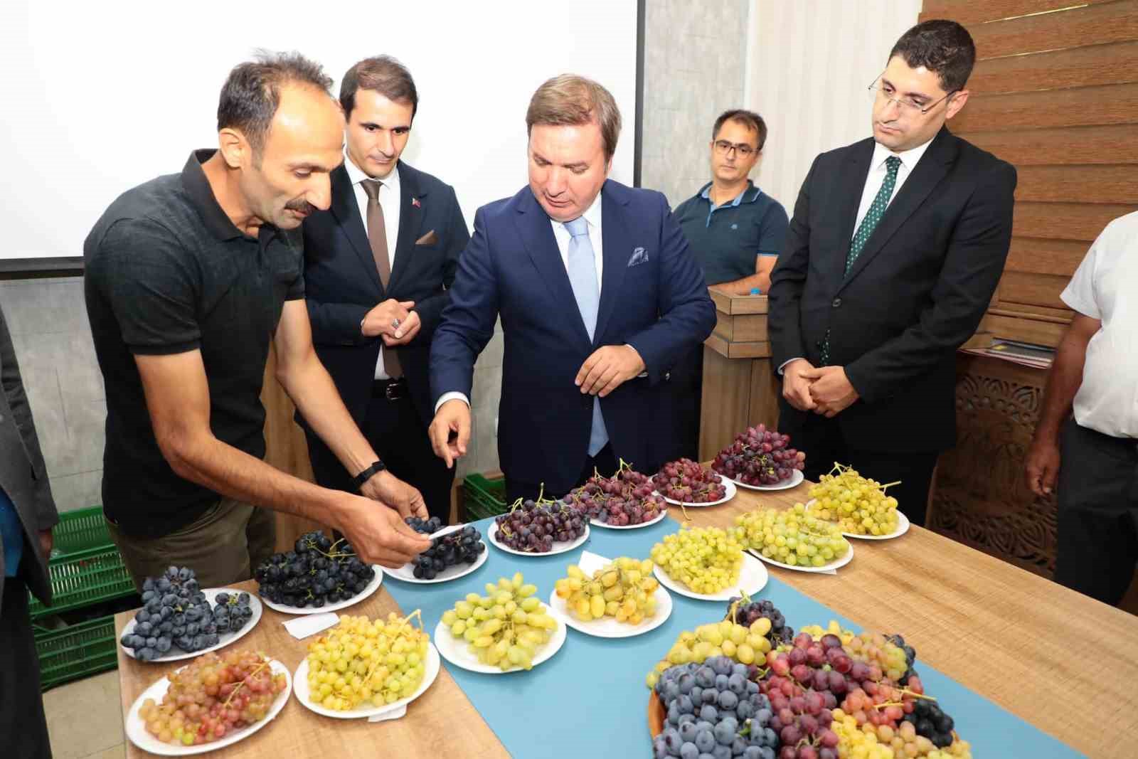 Üzümüyle meşhur Erzincan’da yeni üzüm çeşitleri yetiştirilecek
