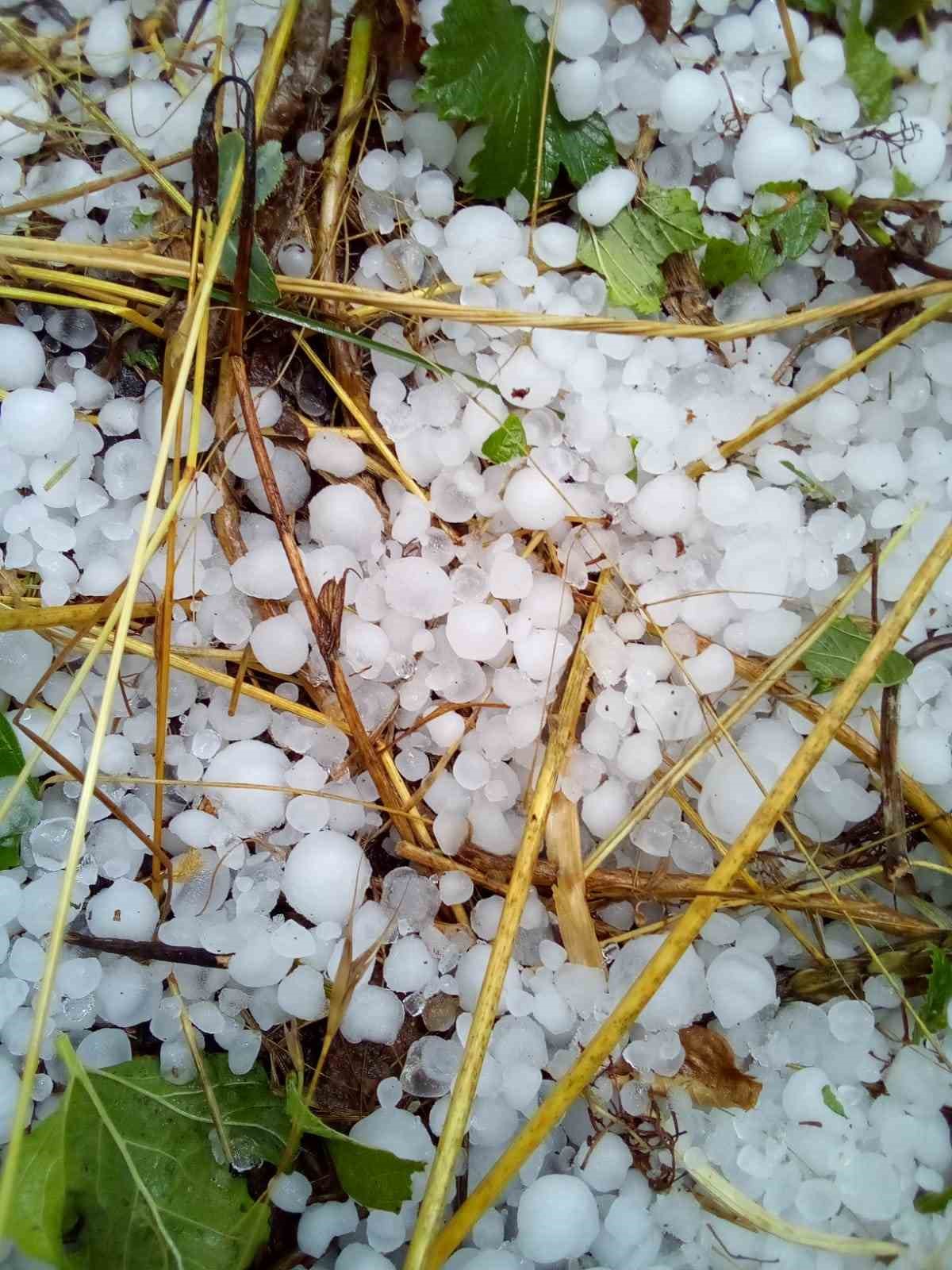 Çameli’nde şiddetli dolu ekili arazilere zarar verdi
