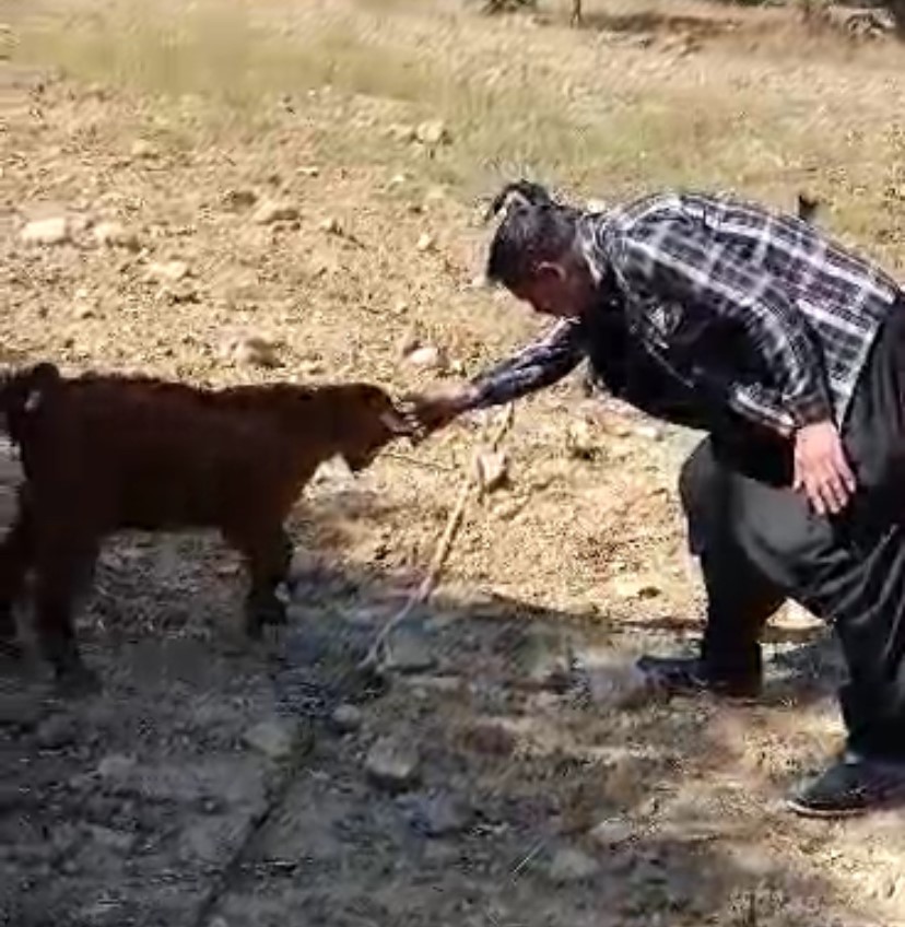 Oğlak ile oyun oynayarak keyifli anlar yaşadı
