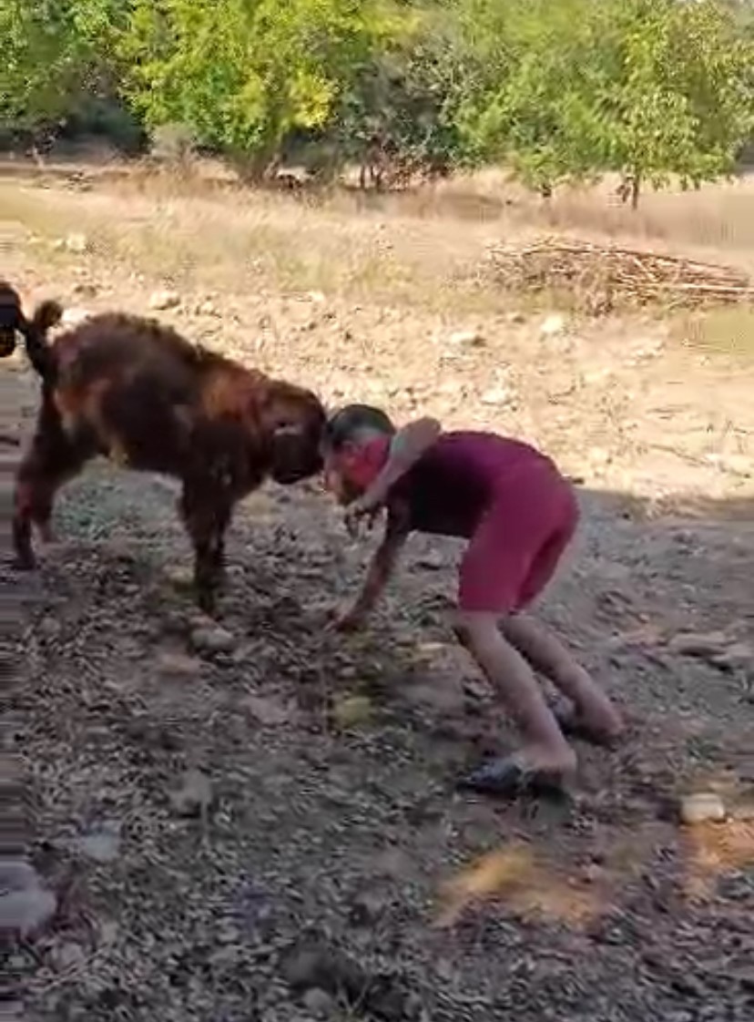 Oğlak ile oyun oynayarak keyifli anlar yaşadı
