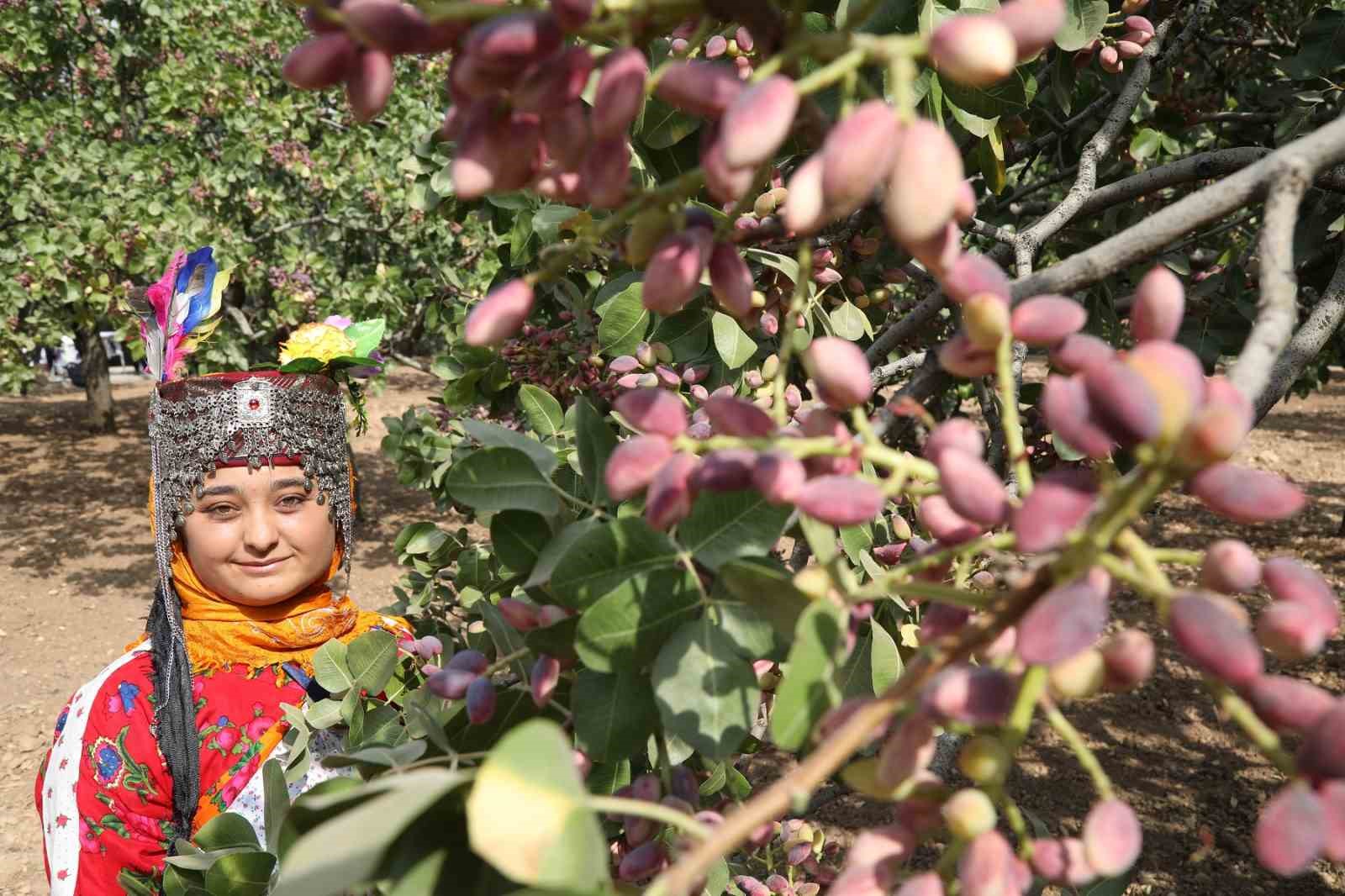 GastroAntep Kültür Yolu Festivali ile Gaziantep’in mutfak ve kültür zenginliği yeniden dünya sahnesinde
