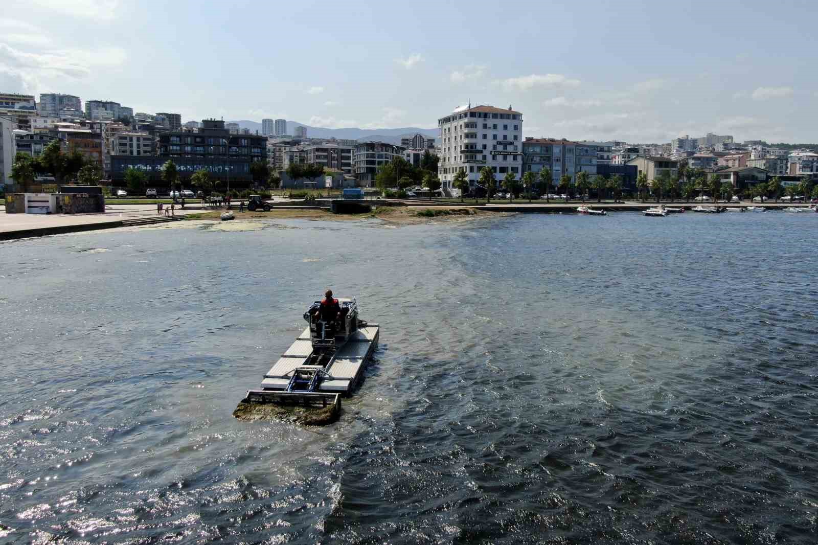 Kurupelit Yat Limanı’nda yosun temizleme çalışması
