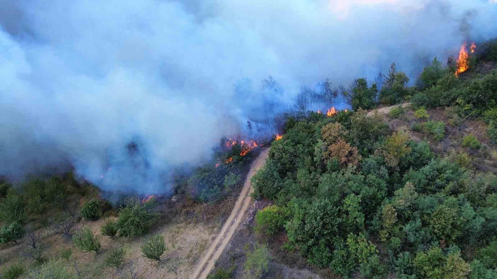 İznik’te çıkan orman yangınına 6 uçak ve 3 helikopter müdahale ediyor
