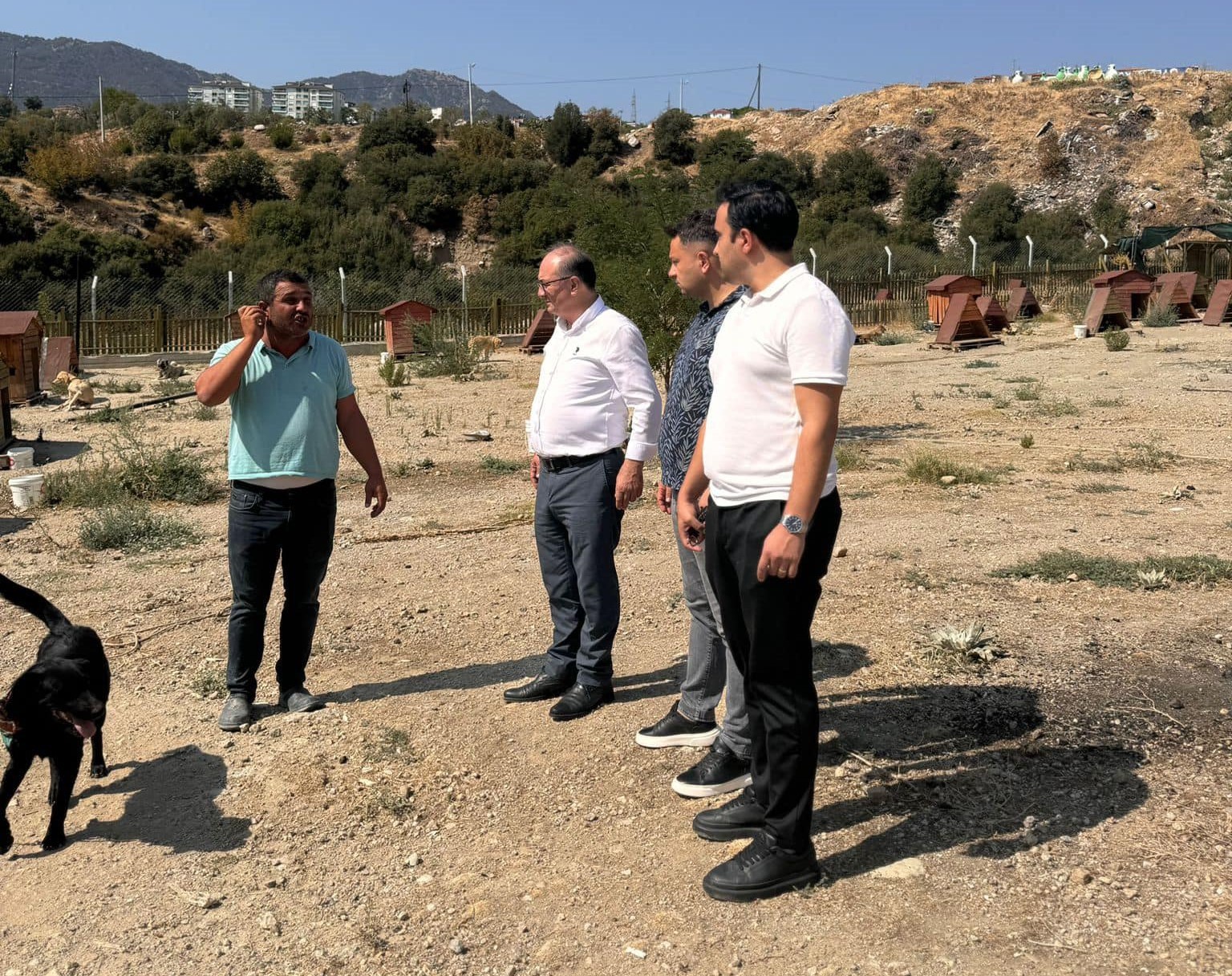 Buldan’da tepkiler artınca, Başkan barınağa gidip poz verdi
