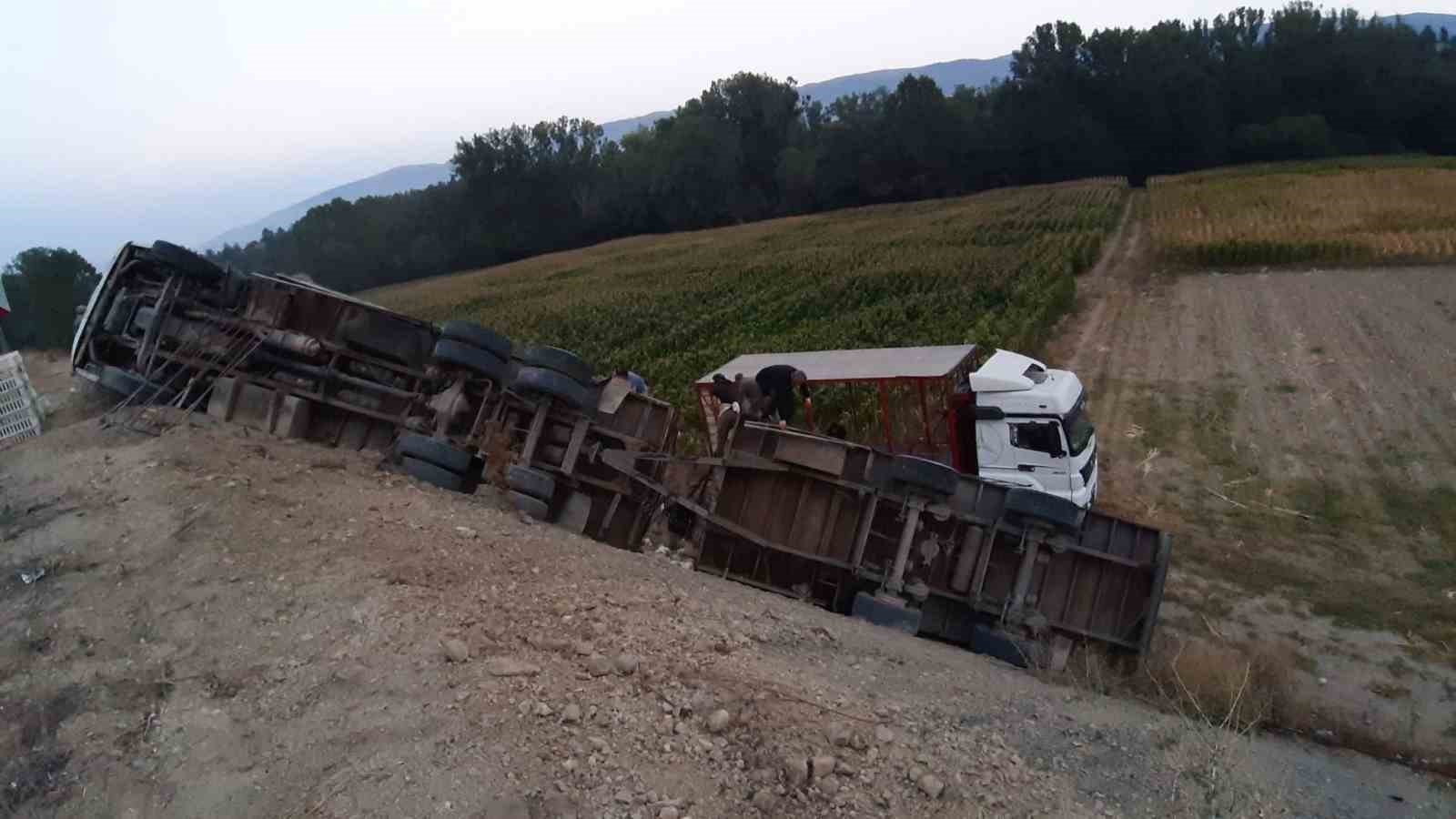 2 bin 500 canlı tavuk yüklü kamyon virajı alamayarak devrildi
