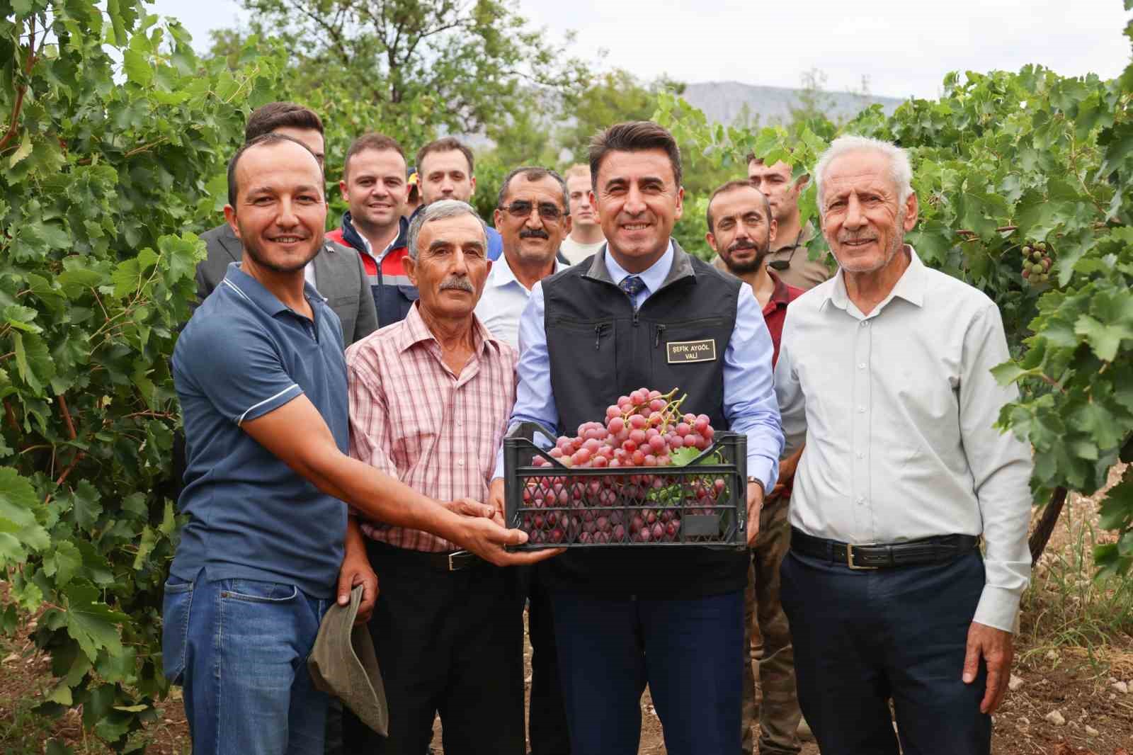 Bilecik’te üzüm hasadı başladı
