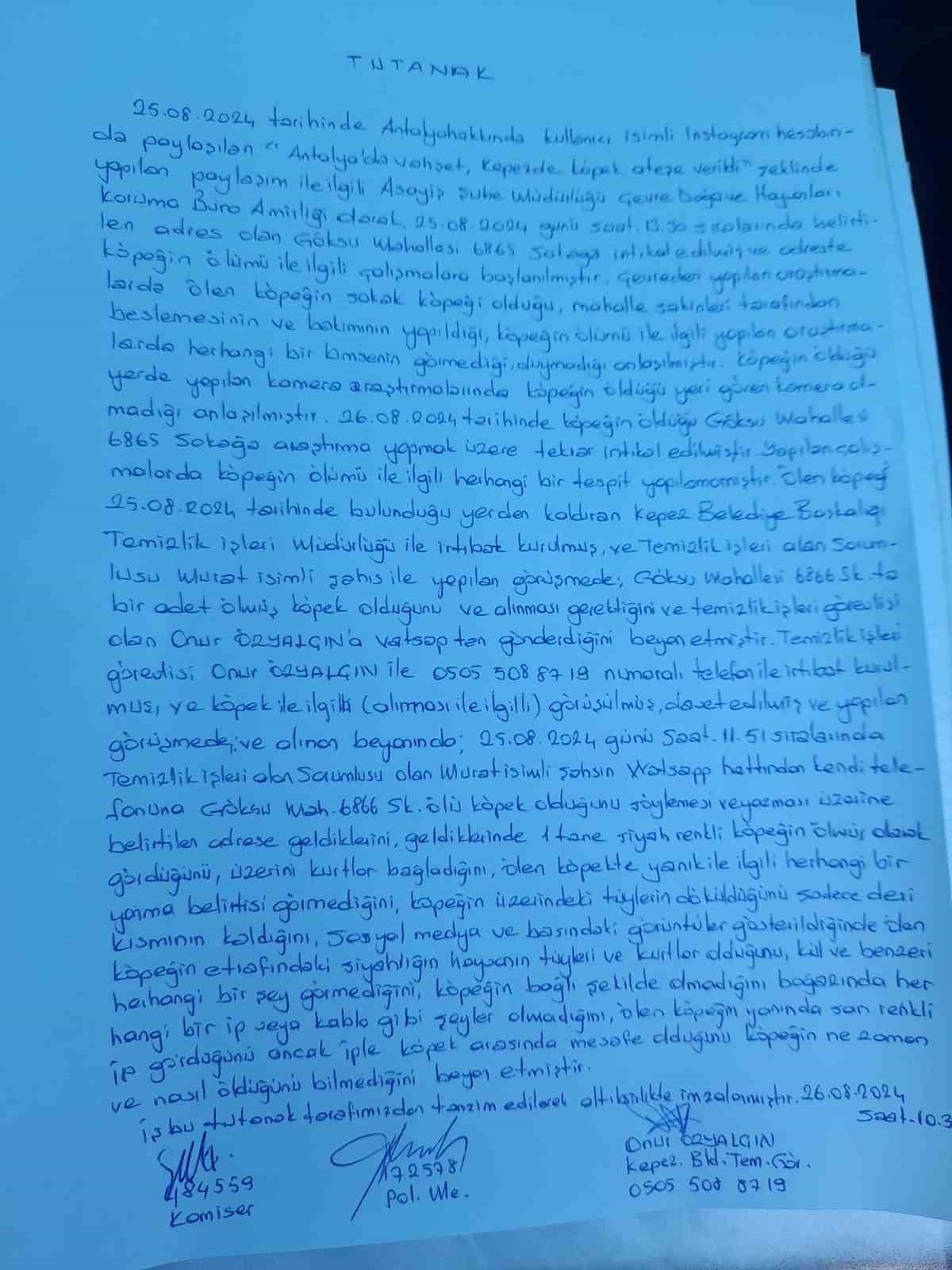 Başkan Kocagöz’den ’Köpek yakıldı’ iddialarına cevap
