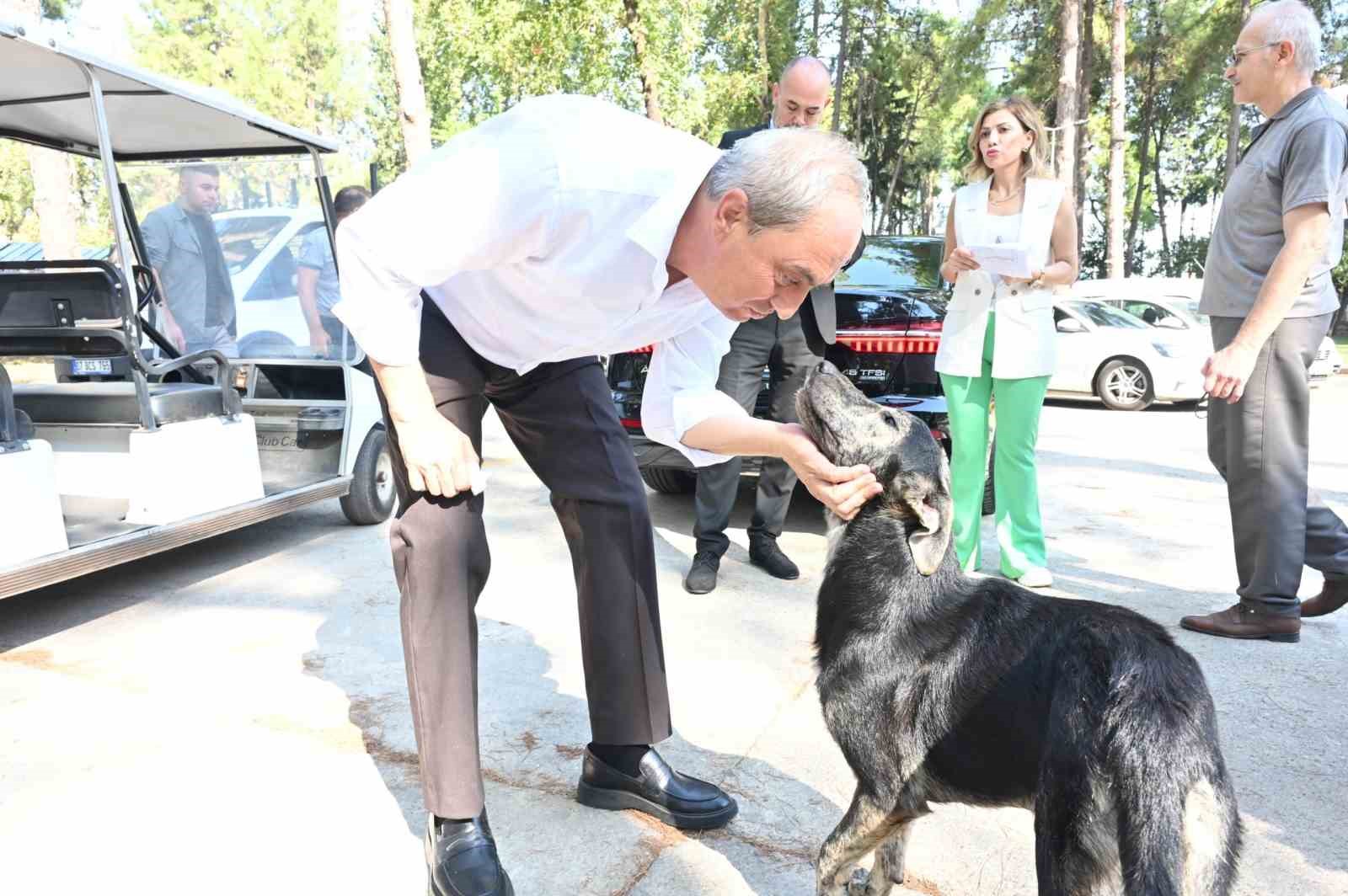 Başkan Kocagöz’den ’Köpek yakıldı’ iddialarına cevap
