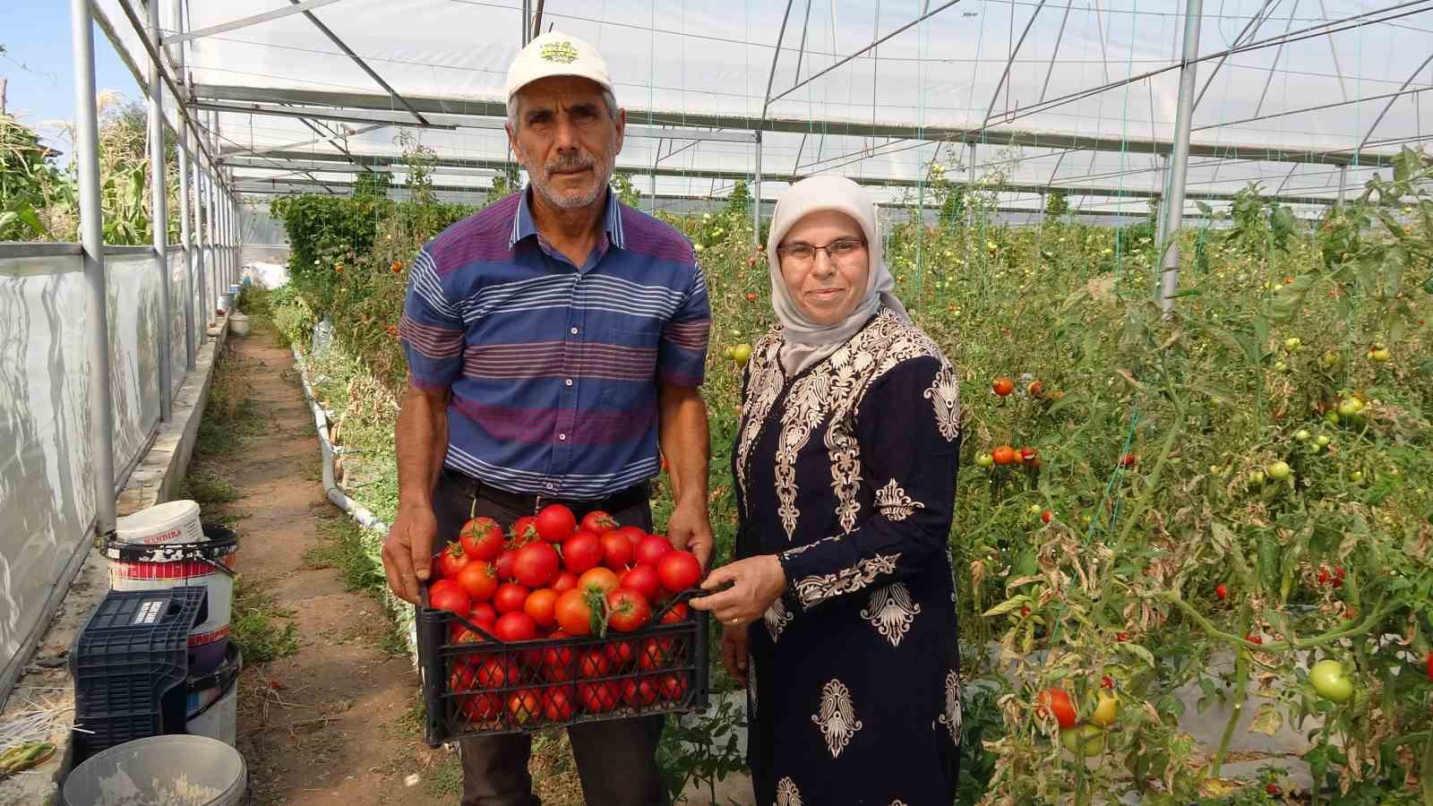 Koparmaya dahi kıyamıyorlardı, hobileri tutkuya dönüştü
