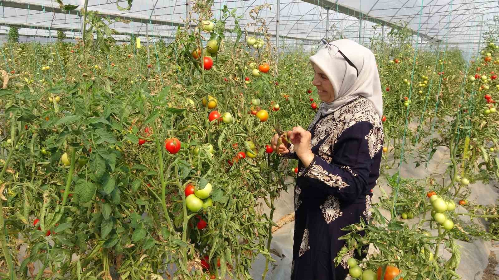 Koparmaya dahi kıyamıyorlardı, hobileri tutkuya dönüştü
