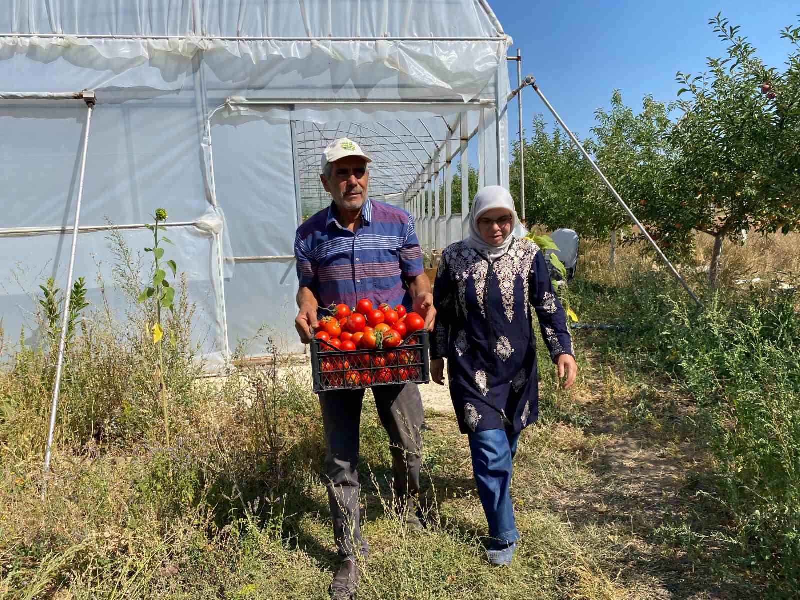 Koparmaya dahi kıyamıyorlardı, hobileri tutkuya dönüştü
