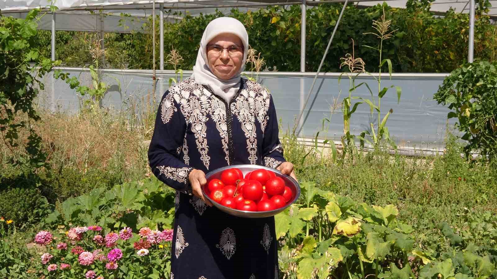 Koparmaya dahi kıyamıyorlardı, hobileri tutkuya dönüştü
