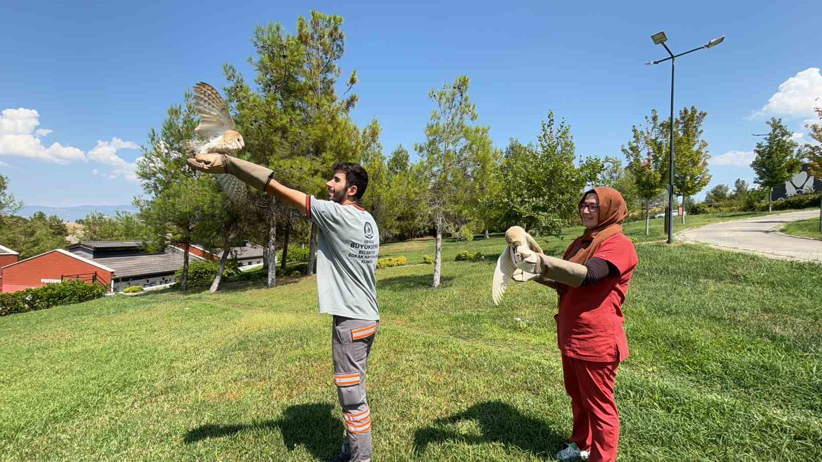 Yaban dostları doğal hayatlarına kavuştu
