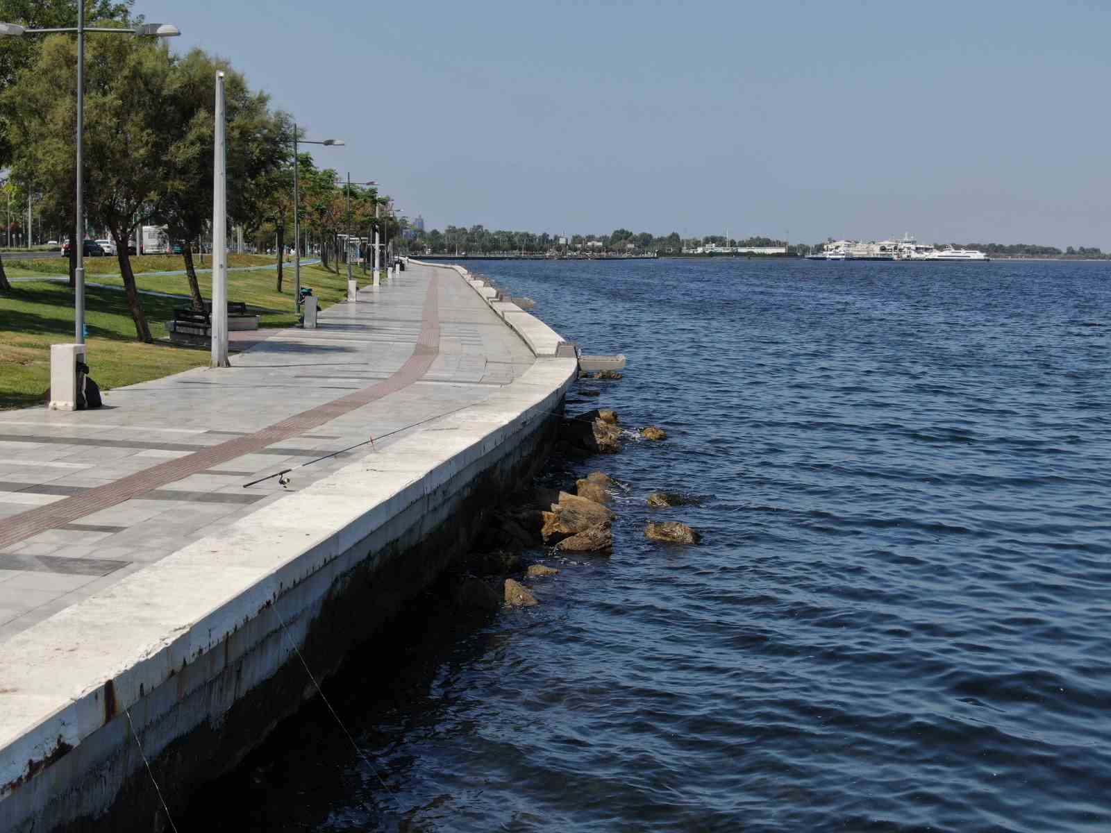 İzmir Körfez’deki felakete rağmen balık tutmaya devam ediyorlar
