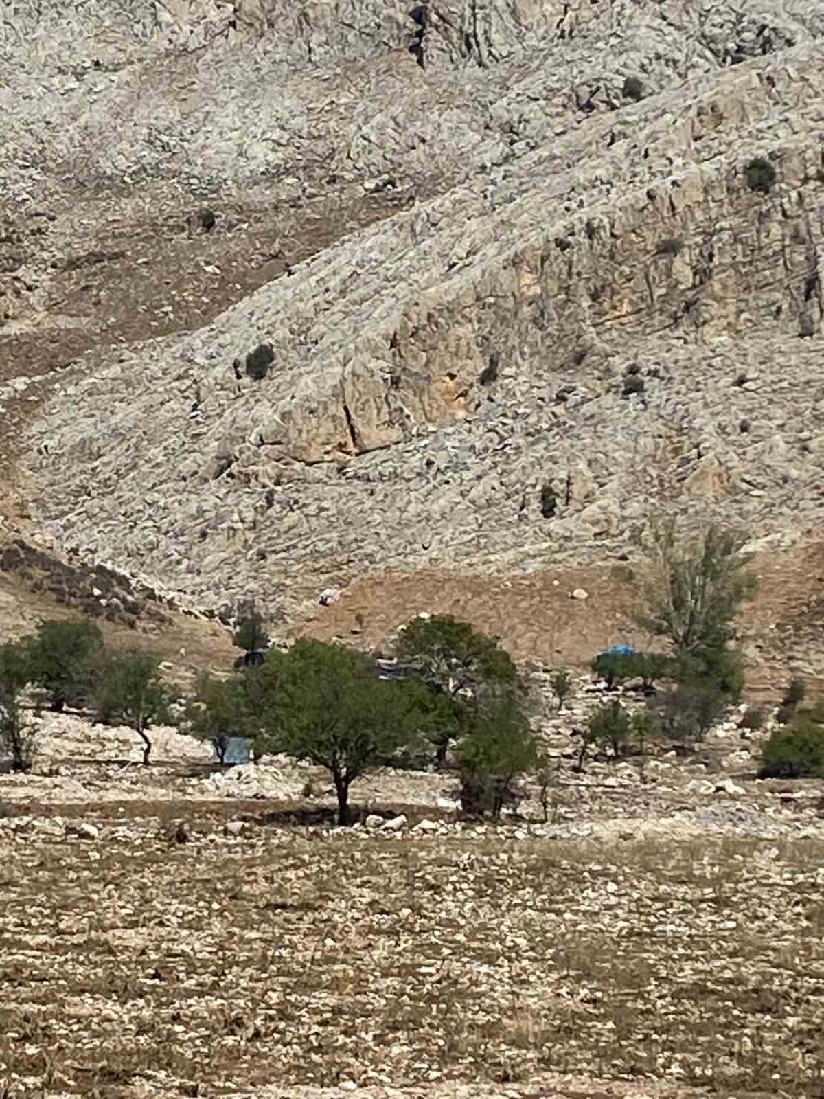 Korkuteli’nde su baskını sebebiyle onlarca hayvan telef oldu
