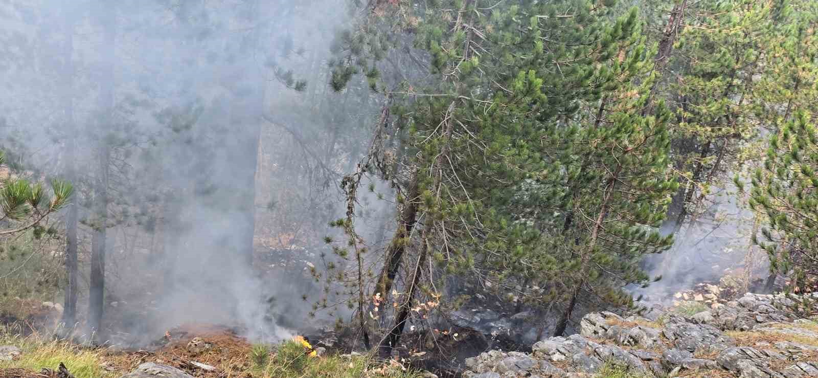 Kazdağları’nda yangına havadan müdahale sürüyor
