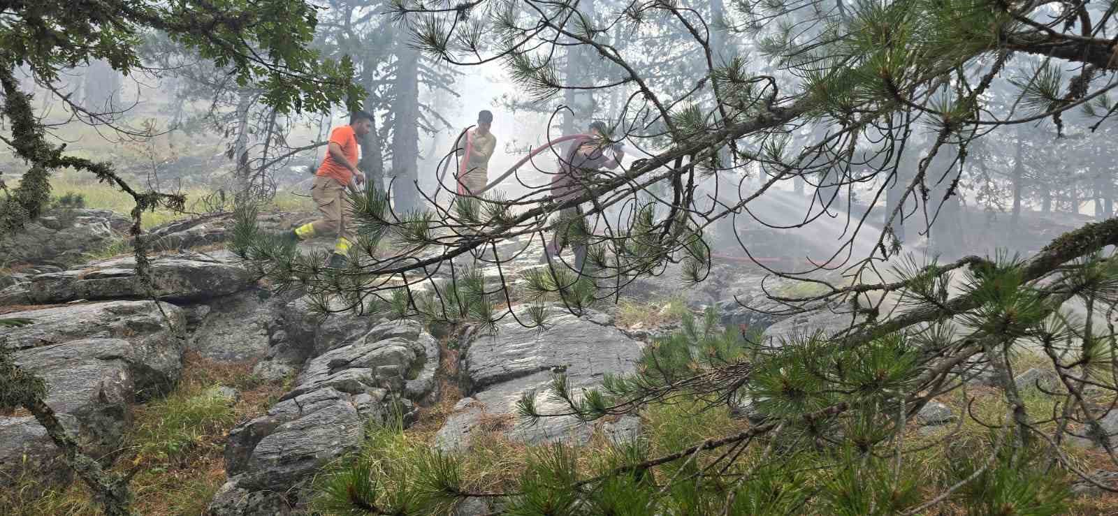 Kazdağları’nda yangına havadan müdahale sürüyor
