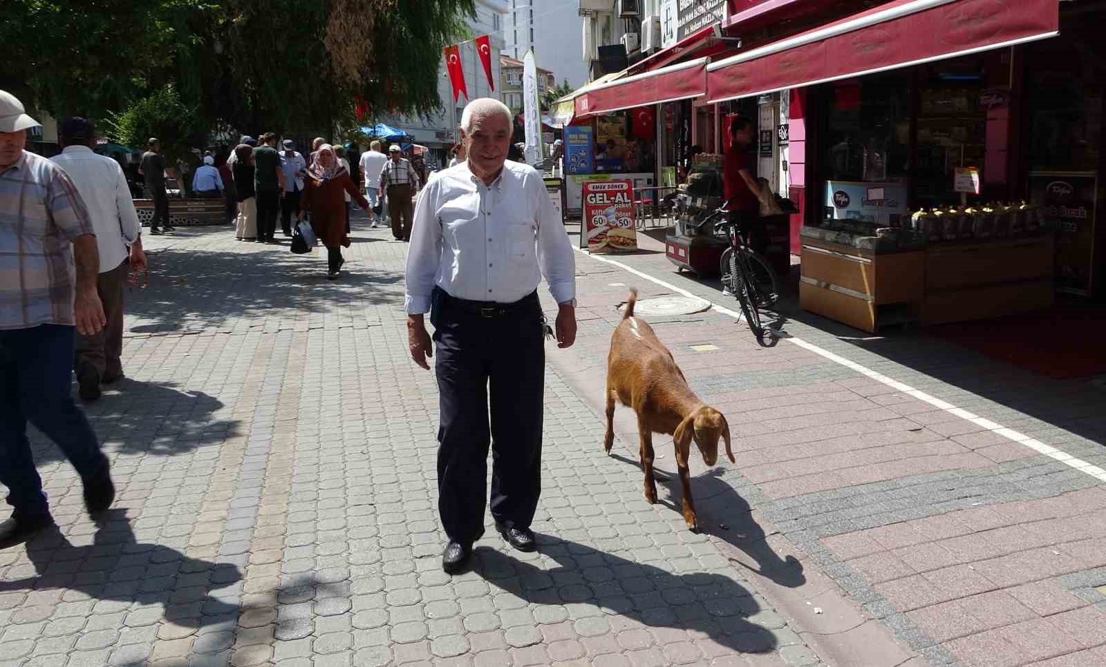 Evladı gibi sevdiği keçiyi yanından ayırmıyor
