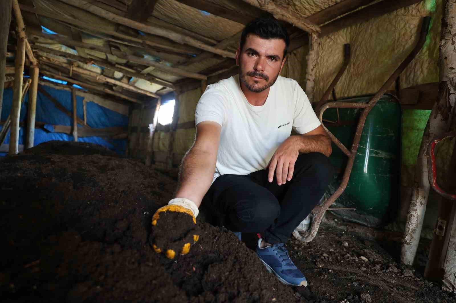 Söylenenlere kulak asmadı, 11 yılın ardından hasat etmeye başladı
