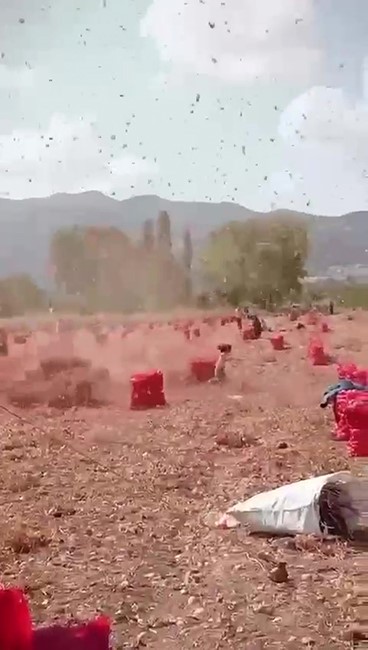 İki çocuk hortumun arasında kaldı
