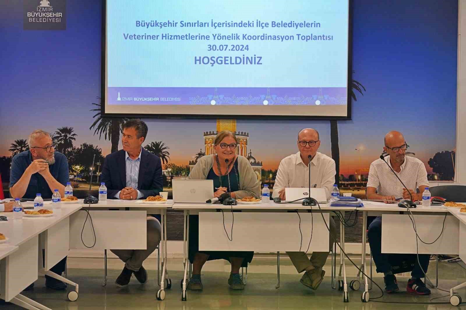 İzmir’de bir yılda 95 bin sahipsiz hayvan kısırlaştırıldı
