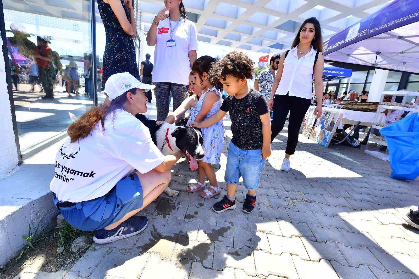 İzmir’de bir yılda 95 bin sahipsiz hayvan kısırlaştırıldı
