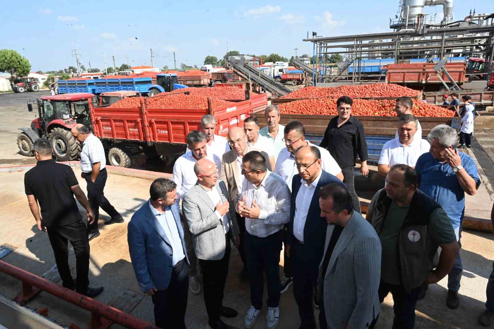 Domates tarlada kalmayacak, Bakanlıktan salça fabrikalarına destek geldi
