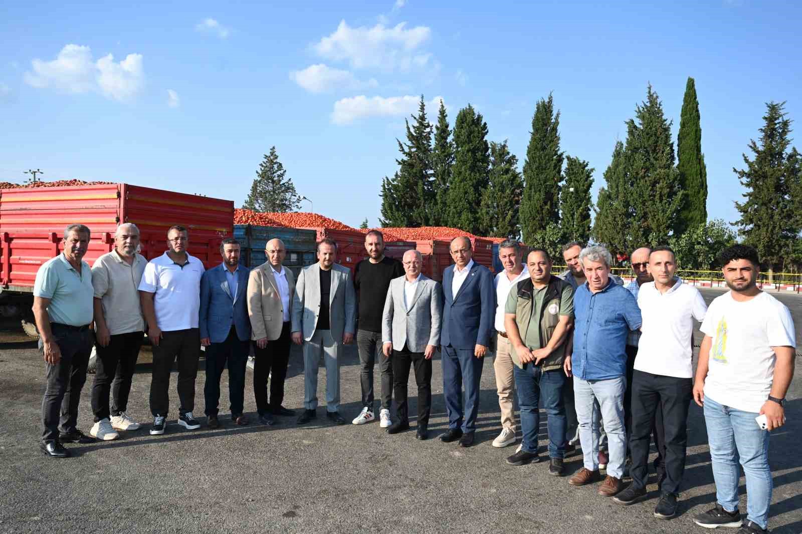 Domates tarlada kalmayacak, Bakanlıktan salça fabrikalarına destek geldi
