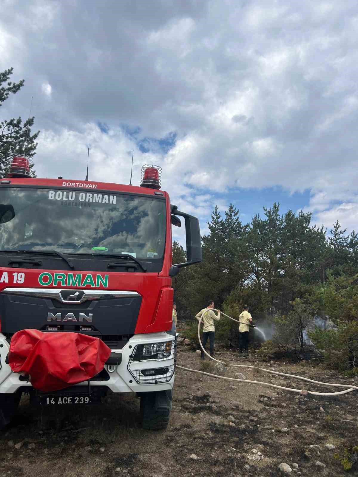 Orman yangınına erken müdahale faciayı önledi
