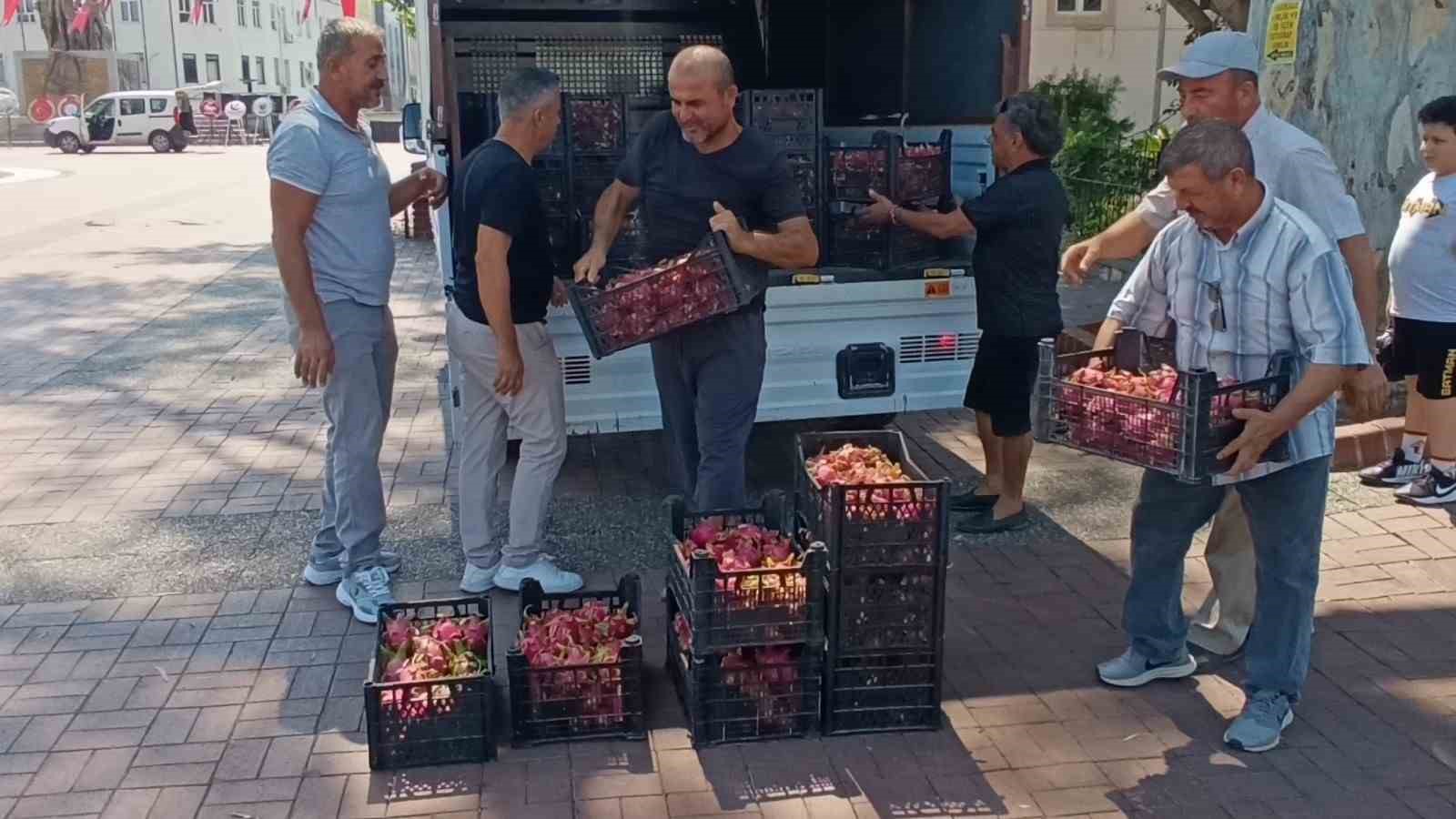 Aracılara kızan üretici 2 bin adet Ejder meyvesini bedava dağıttı
