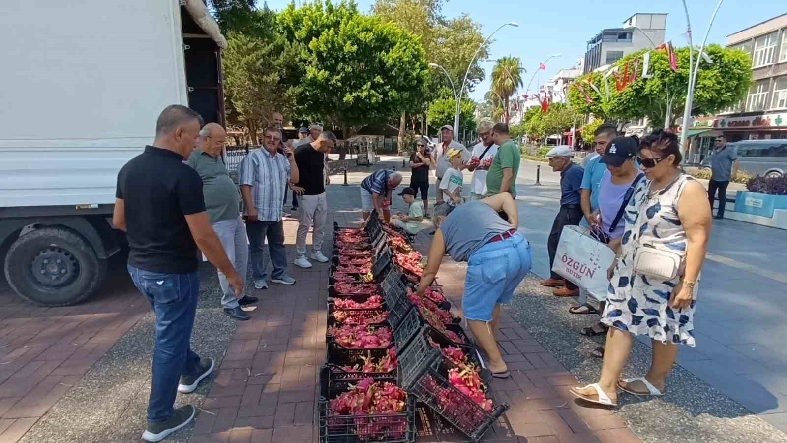 Aracılara kızan üretici 2 bin adet Ejder meyvesini bedava dağıttı
