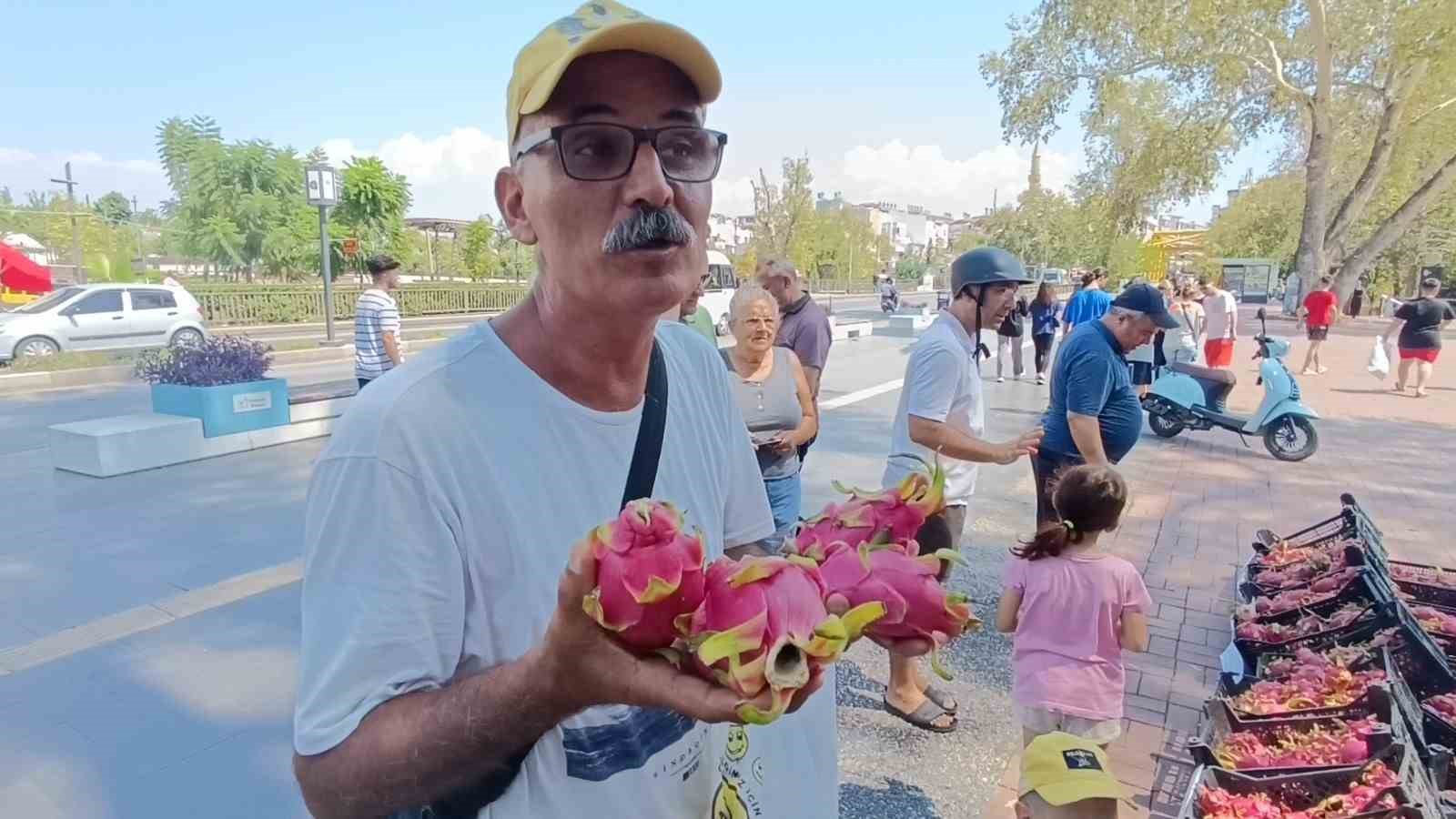 Aracılara kızan üretici 2 bin adet Ejder meyvesini bedava dağıttı
