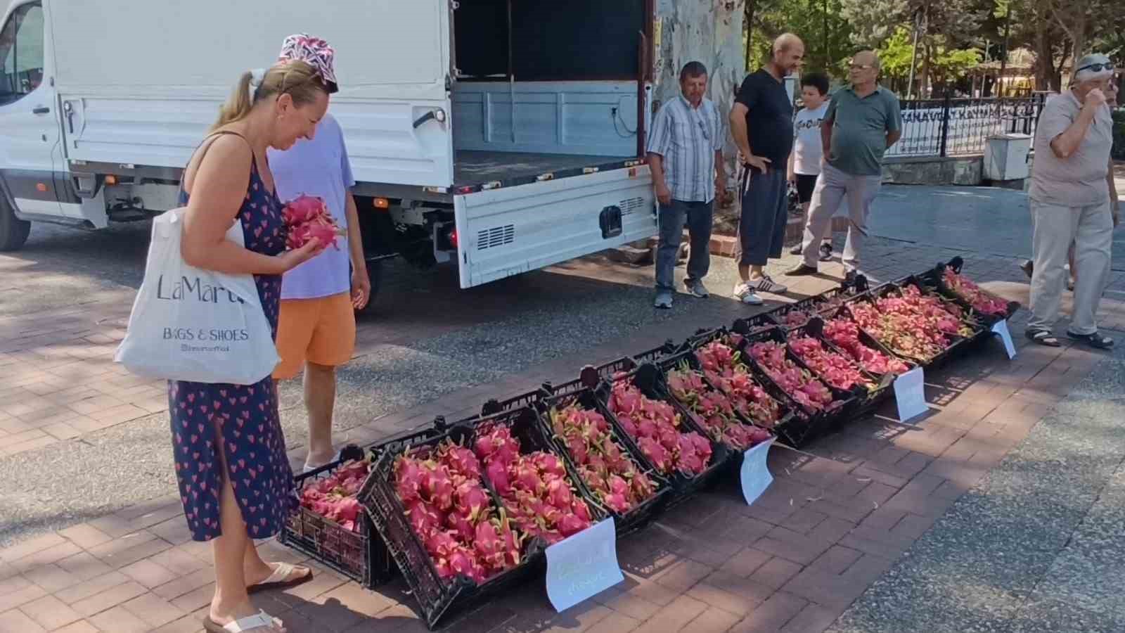 Aracılara kızan üretici 2 bin adet Ejder meyvesini bedava dağıttı
