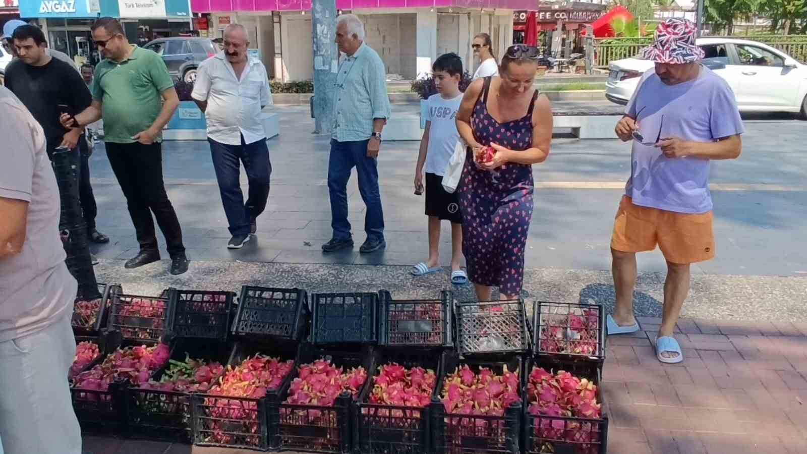 Aracılara kızan üretici 2 bin adet Ejder meyvesini bedava dağıttı
