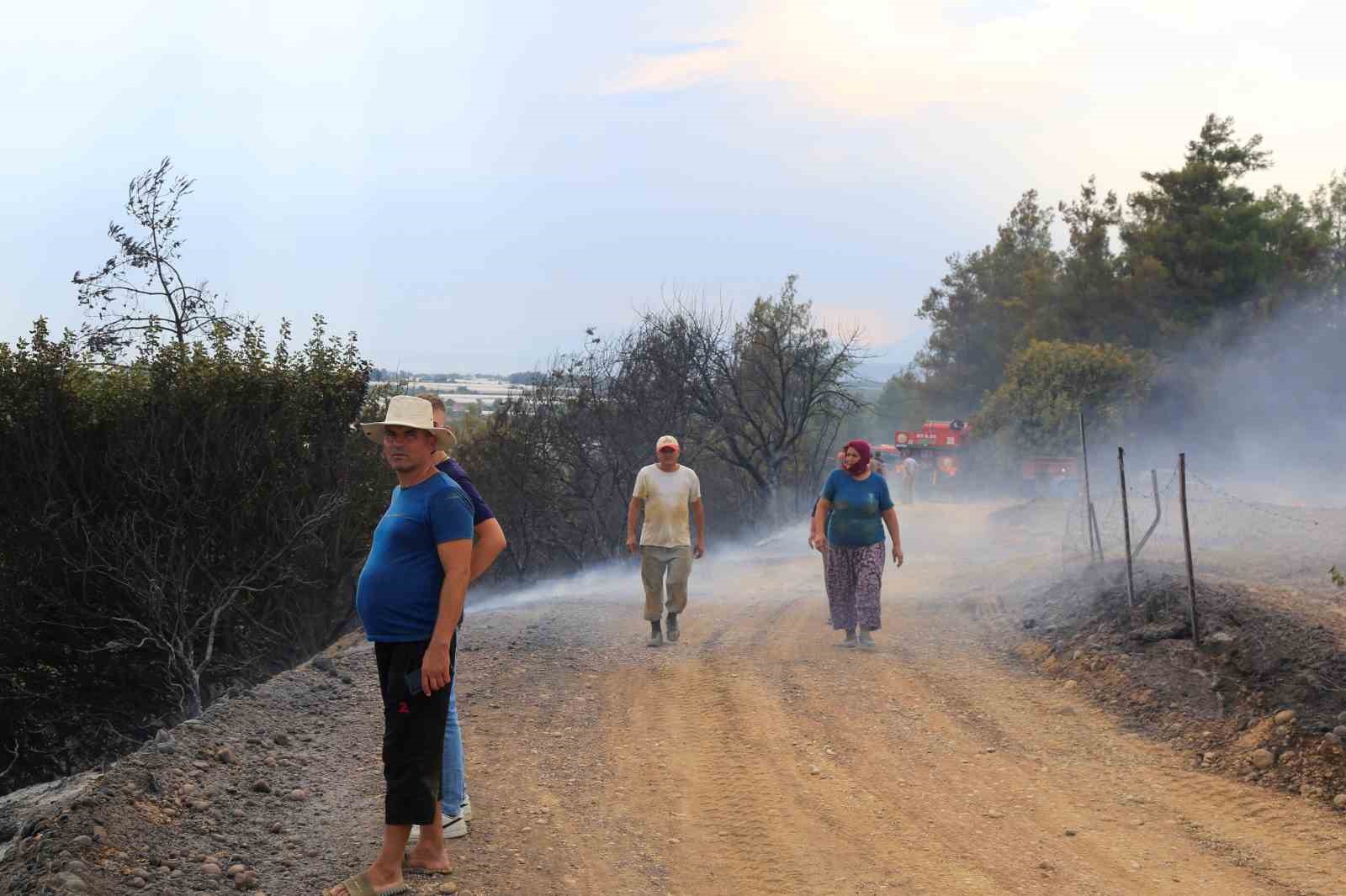 Arı kovanlarını tütsülemek için yakılan ateş ormana sıçradı, bir ev ve traktör küle döndü
