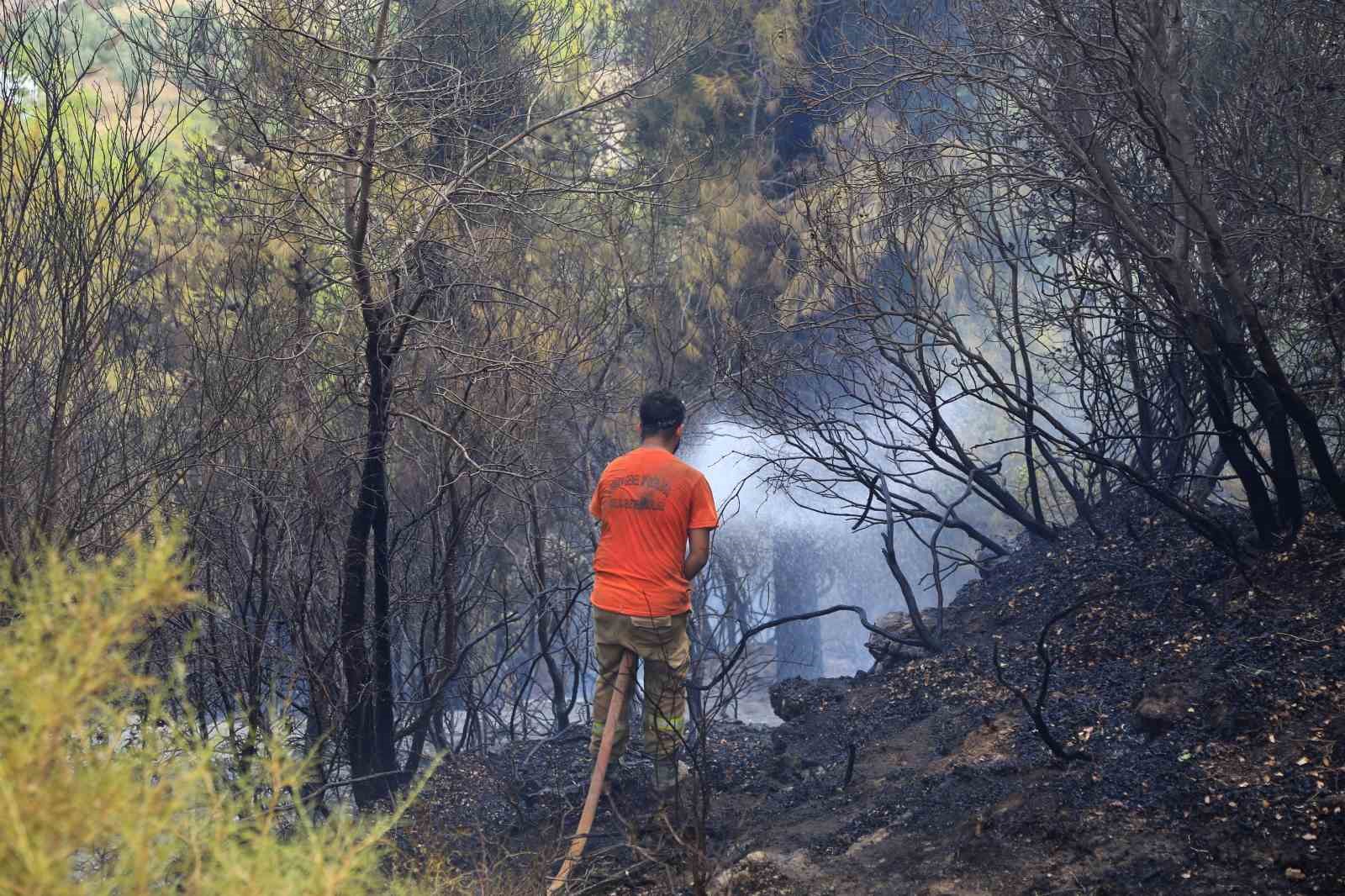 Arı kovanlarını tütsülemek için yakılan ateş ormana sıçradı, bir ev ve traktör küle döndü
